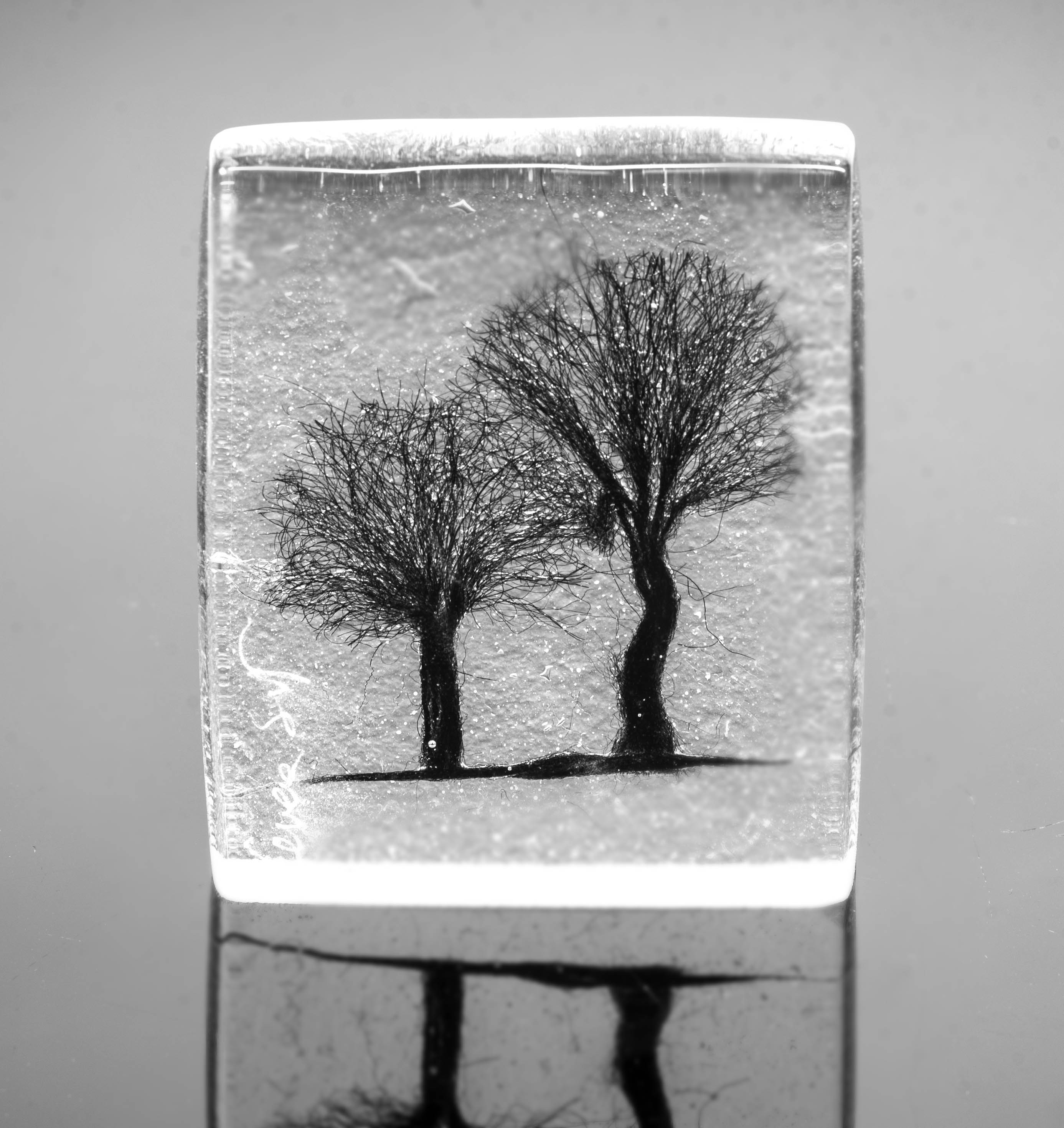 Arbor Day Glass Panel