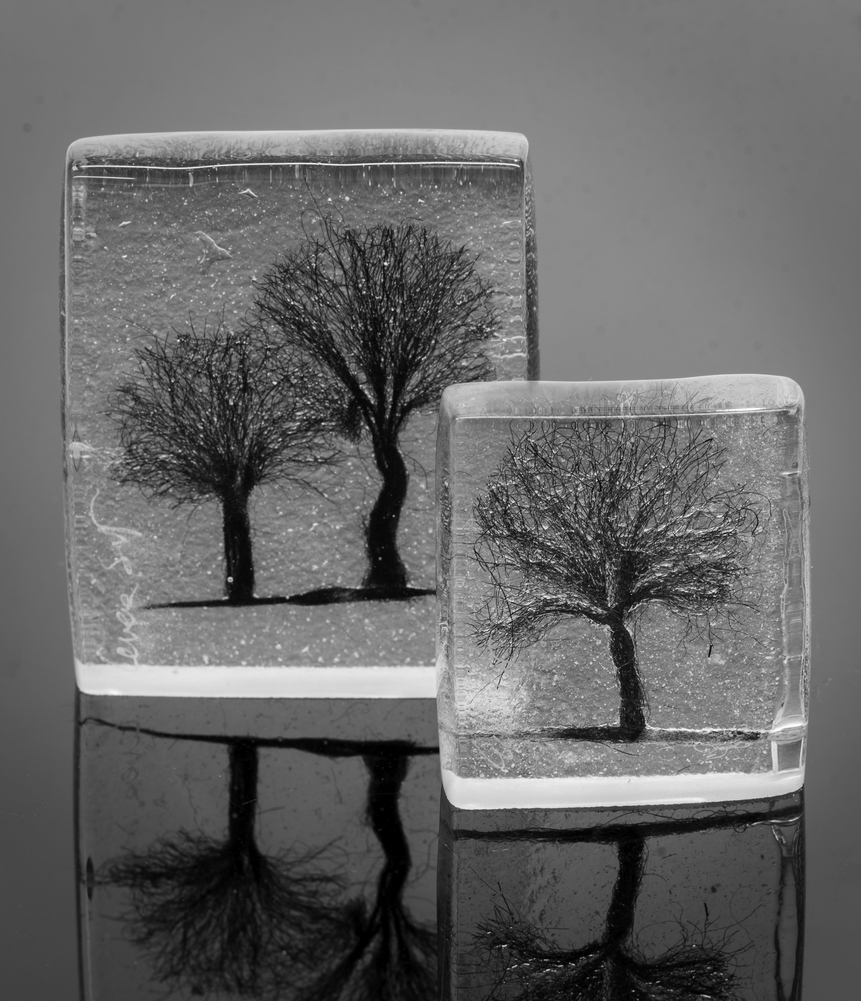 Arbor Day Glass Panel - Cesare Sent