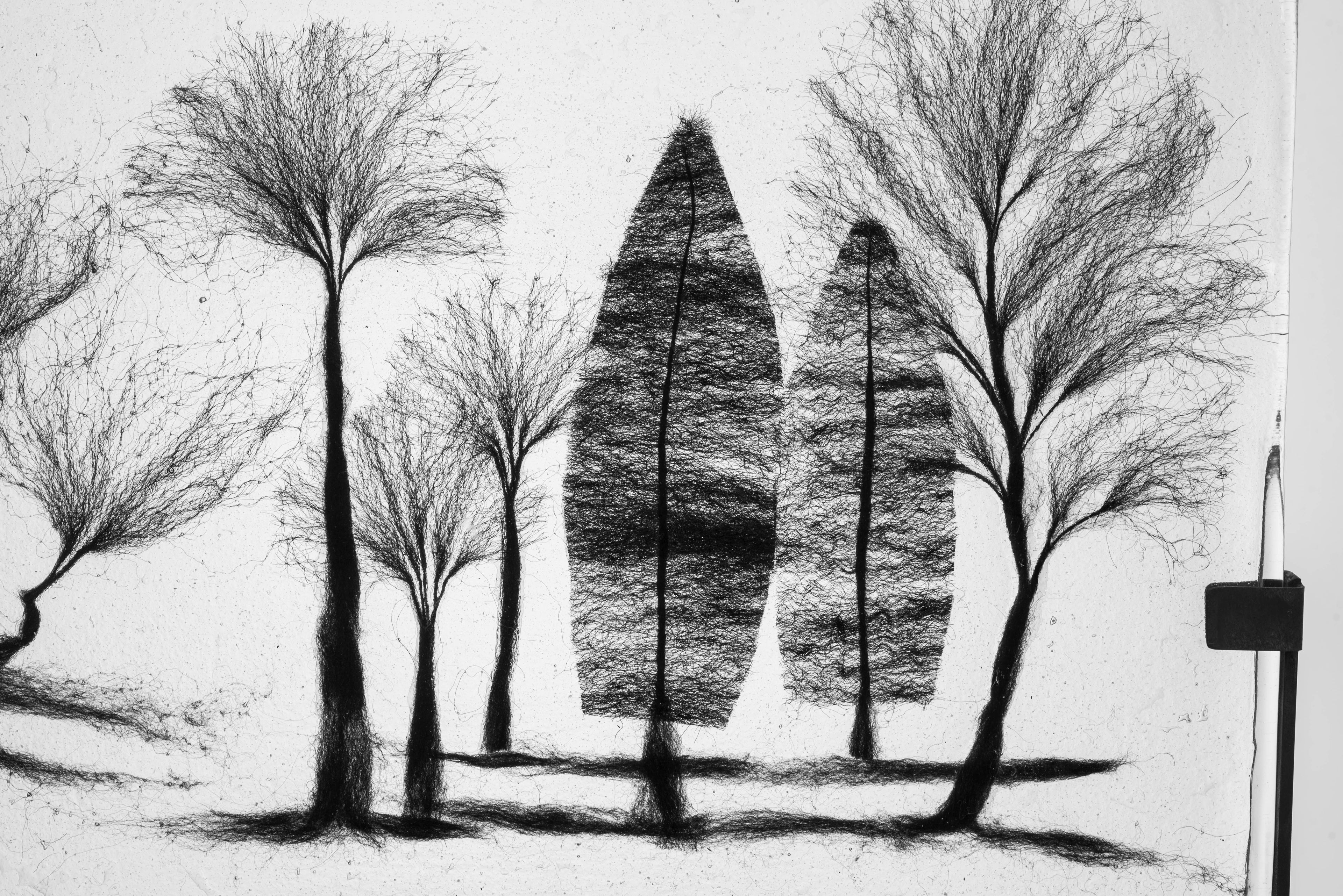 Arbor Day Glass Panel -Cesare Sent