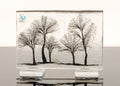 Arbor Day Panel