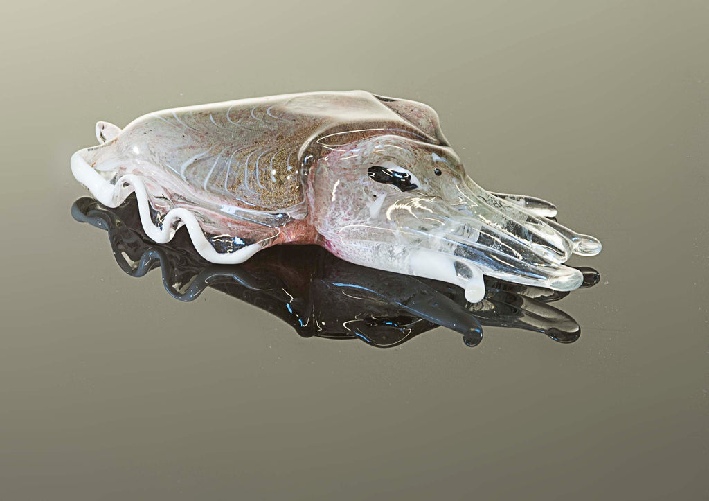 Seppia in vetro di Murano. Realizzazione realistica in vetro. Scultura del maestro vetraio.Phone essential to ship.