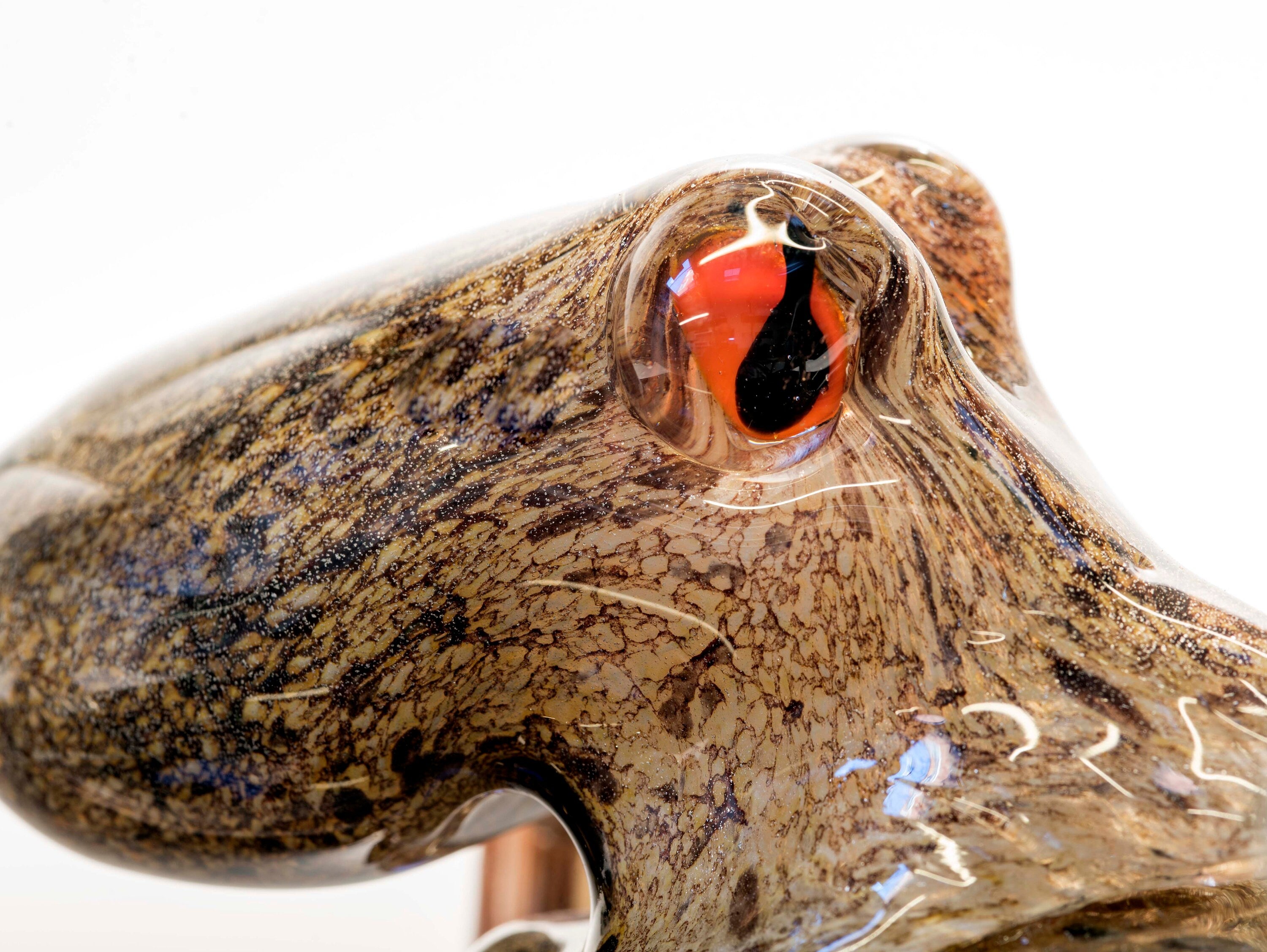Octopus in Murano glass. Realistic realization in glass multicoloured.Sculpture of the glass master.