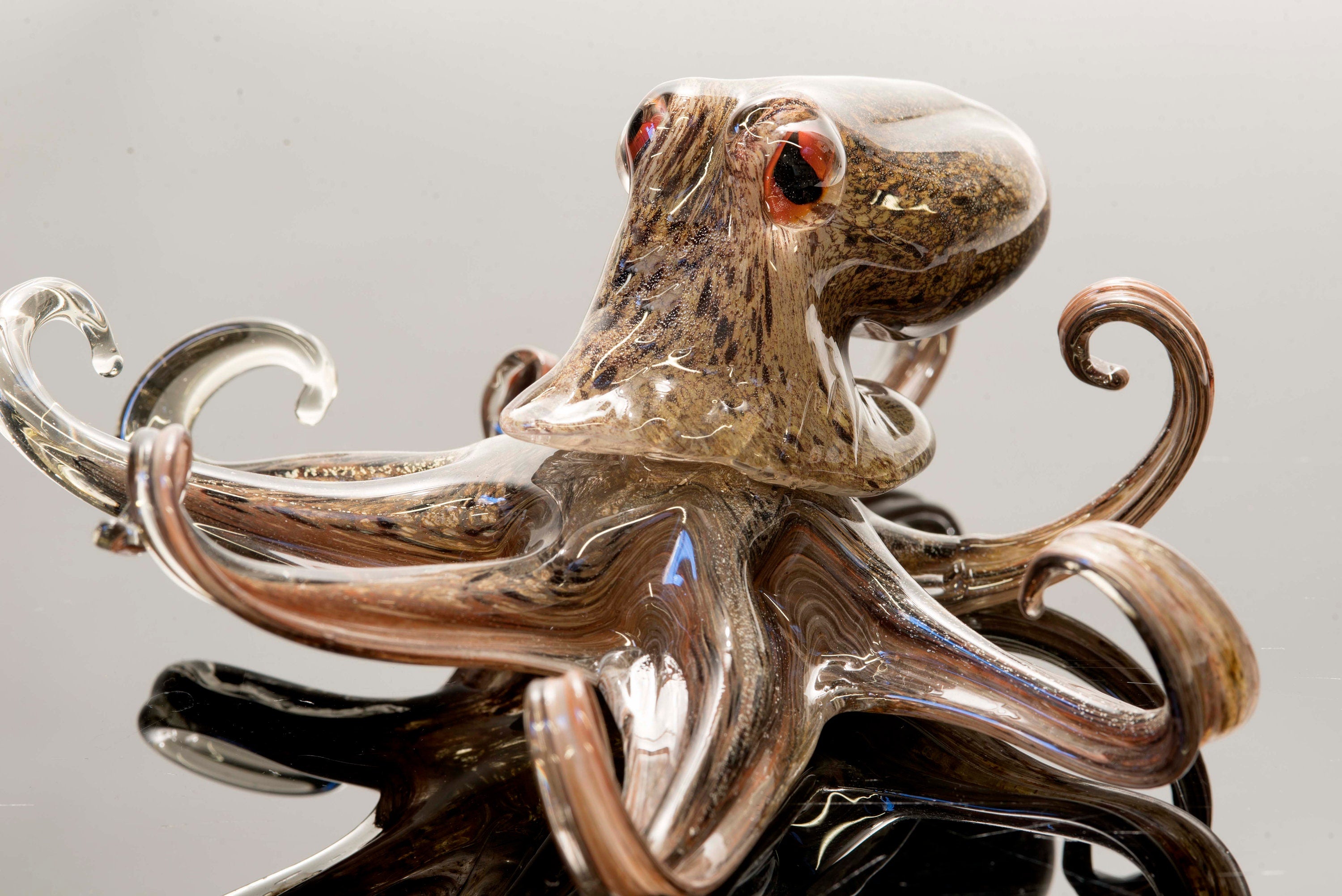 Octopus in Murano glass. Realistic realization in glass multicoloured.Sculpture of the glass master.