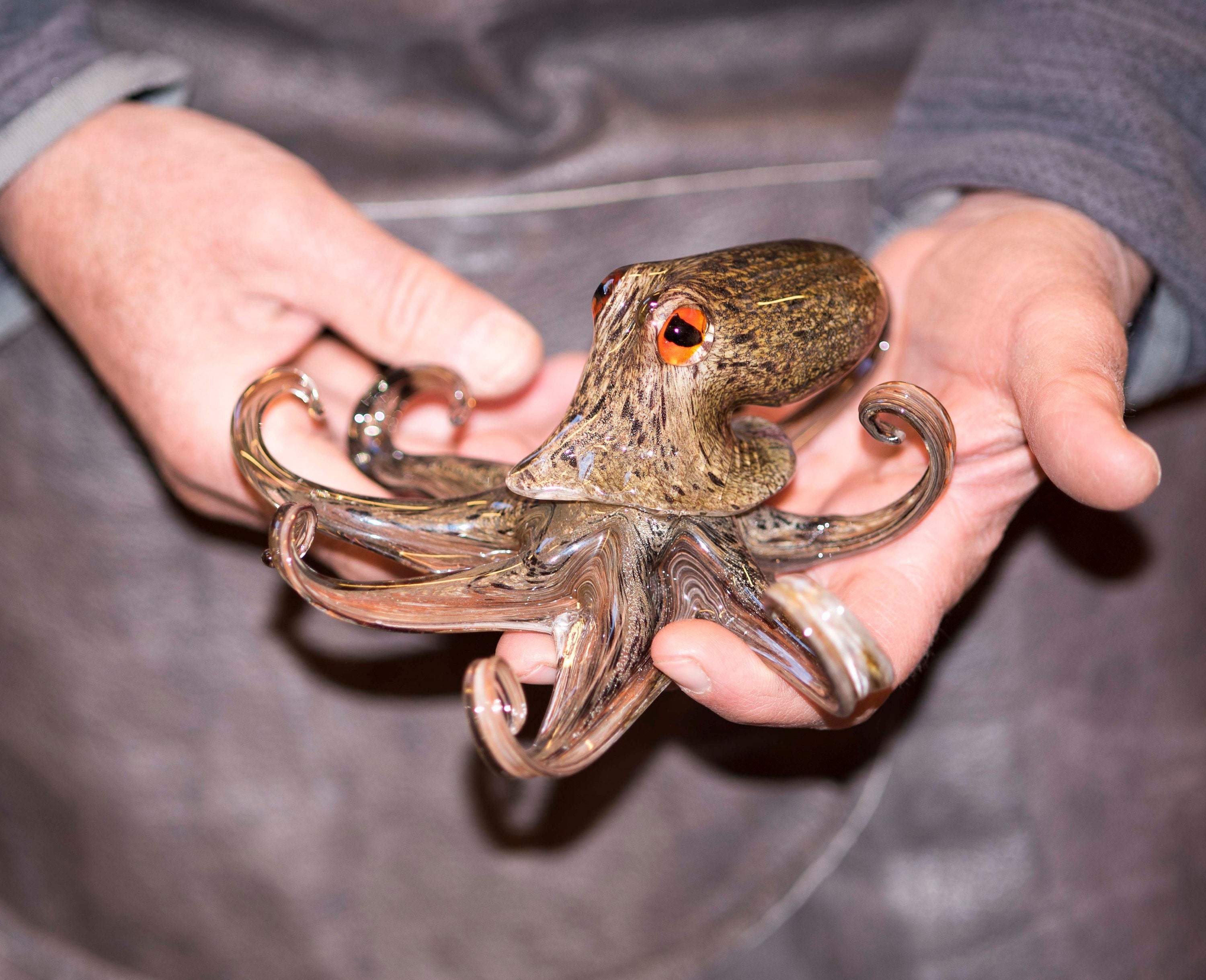 Octopus in Murano glass. Realistic realization in glass multicoloured.Sculpture of the glass master.