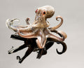 Octopus in Murano glass. Realistic realization in glass multicoloured.Sculpture of the glass master.