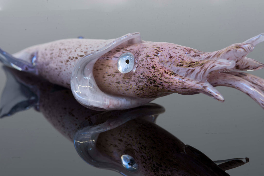 Squid in Murano glass. Realistic realization in glass .Sculpture of the glass master.