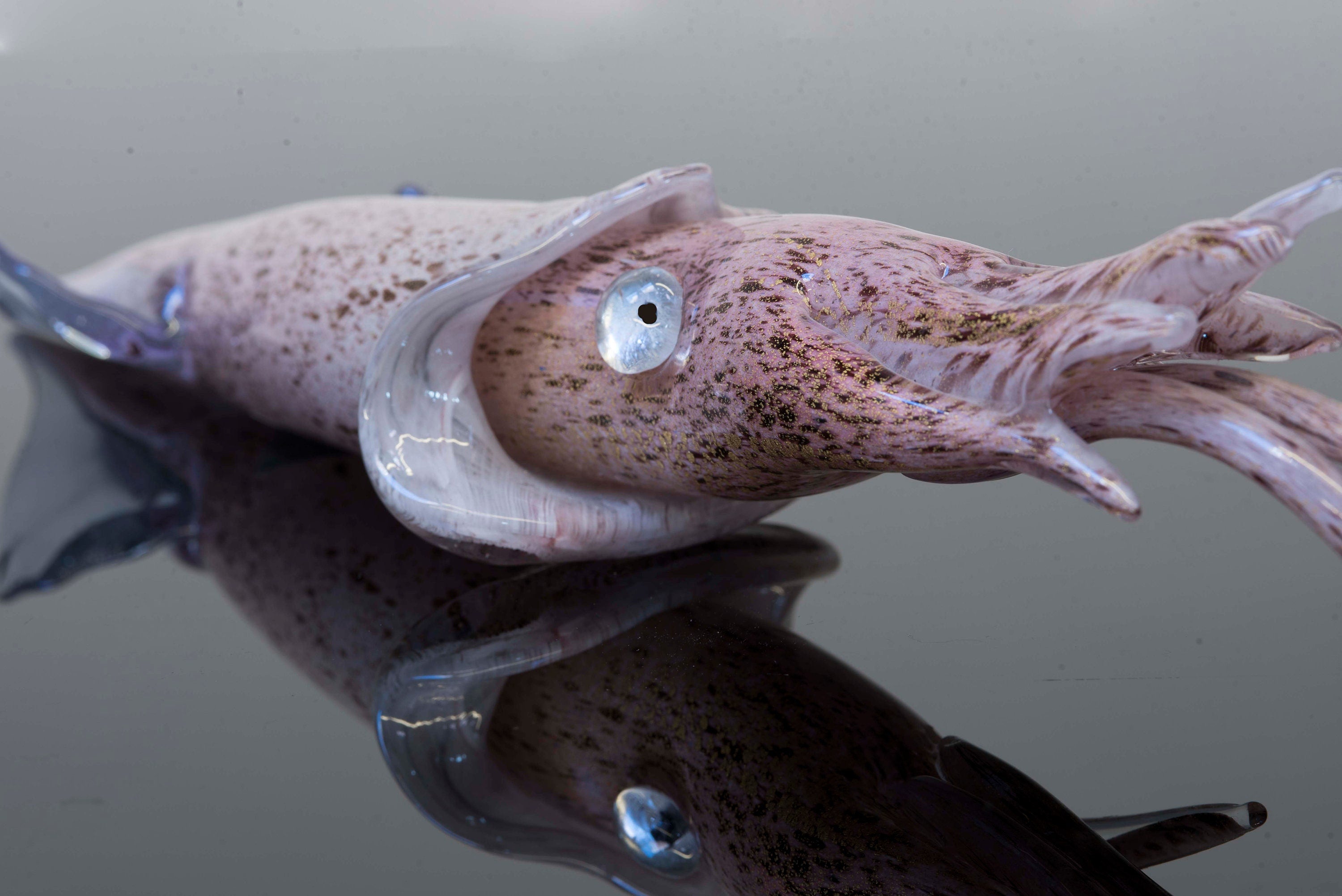 Squid in Murano glass. Realistic realization in glass .Sculpture of the glass master.