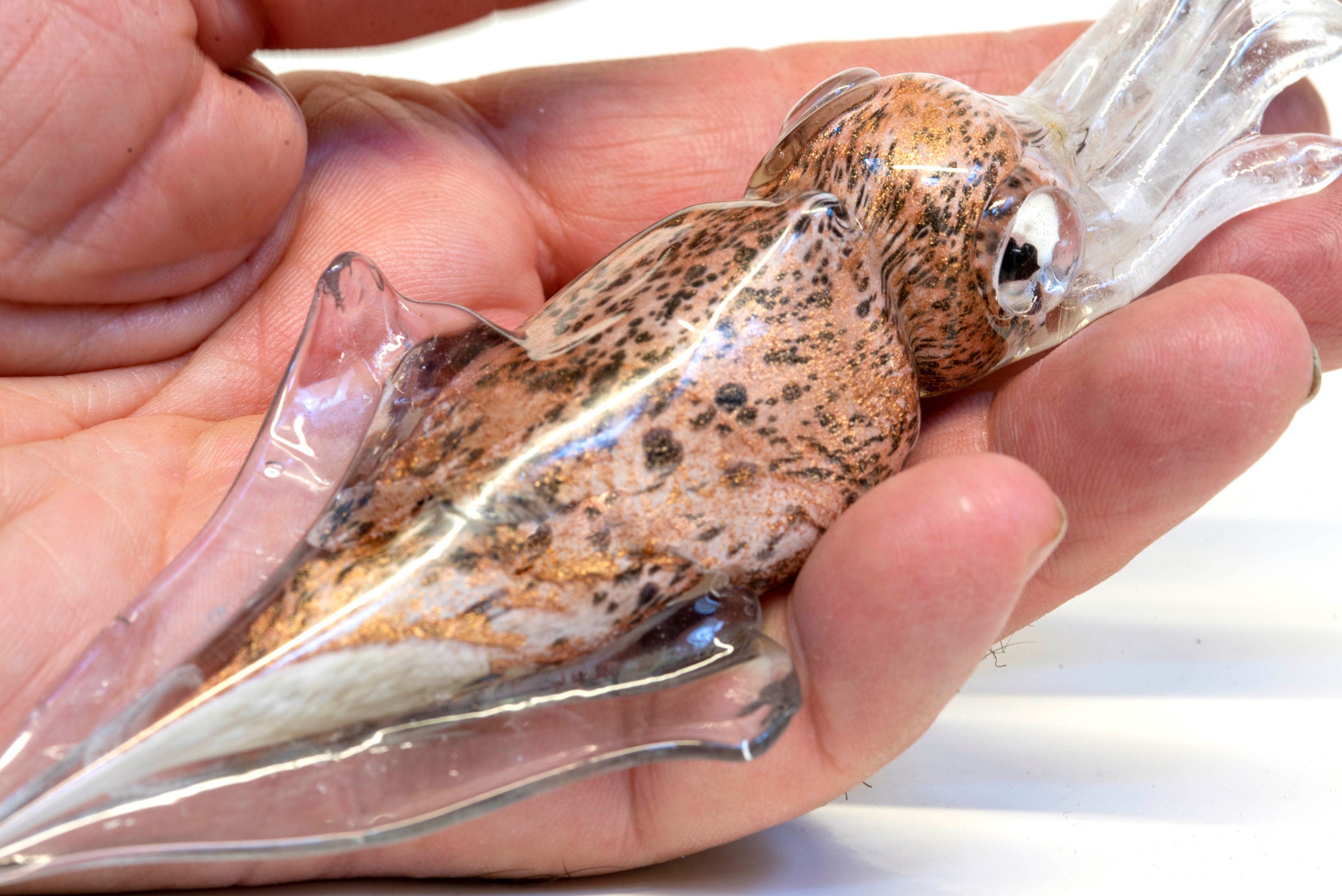Squid in Murano glass. Realistic realization in glass . Sculpture of the glass master.