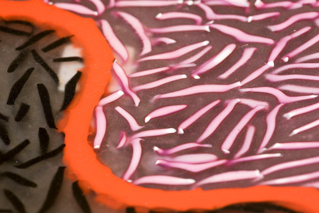 Murano glass bowl. Exclusive original decorative object. Refined unique piece. OOAK Cesare Sent.