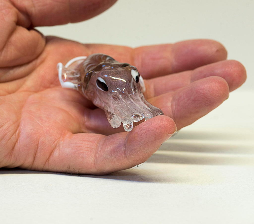 Sepia in Murano glass. Realistic realization in glass . Sculpture of the glass master.