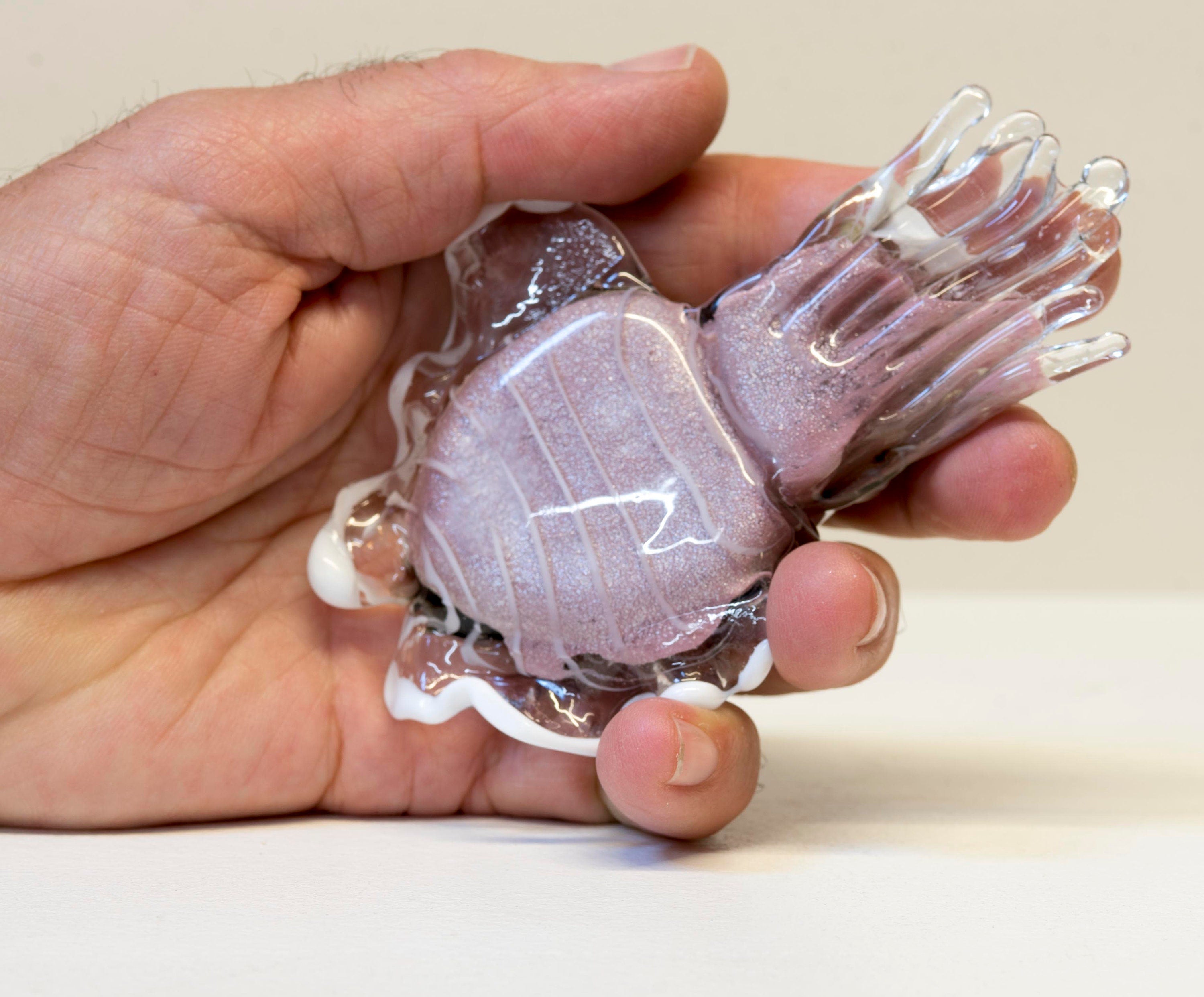 Seppia in vetro di Murano. Realizzazione realistica in vetro. Scultura del maestro vetraio.Phone essential to ship.