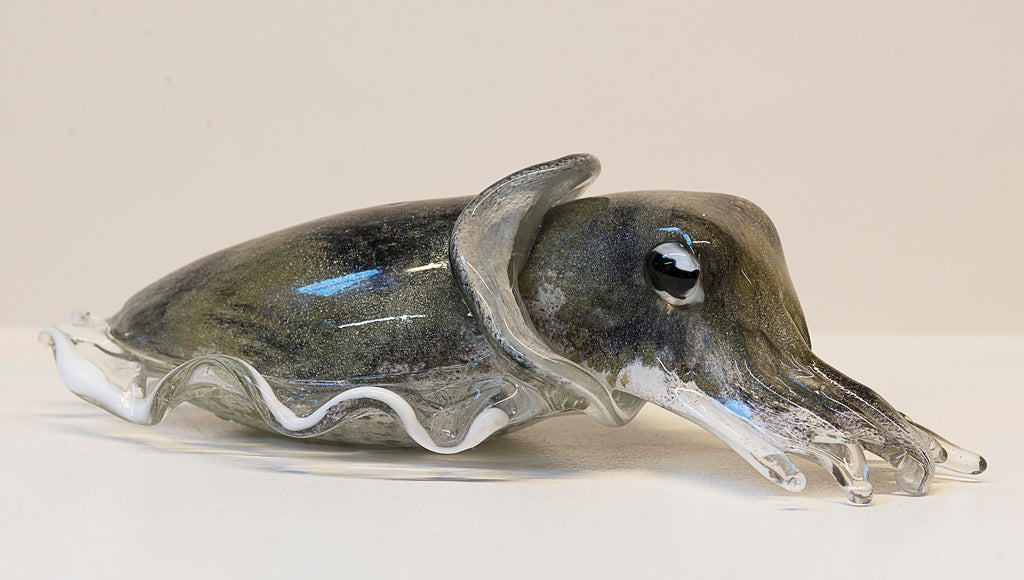 Phone essential to ship.