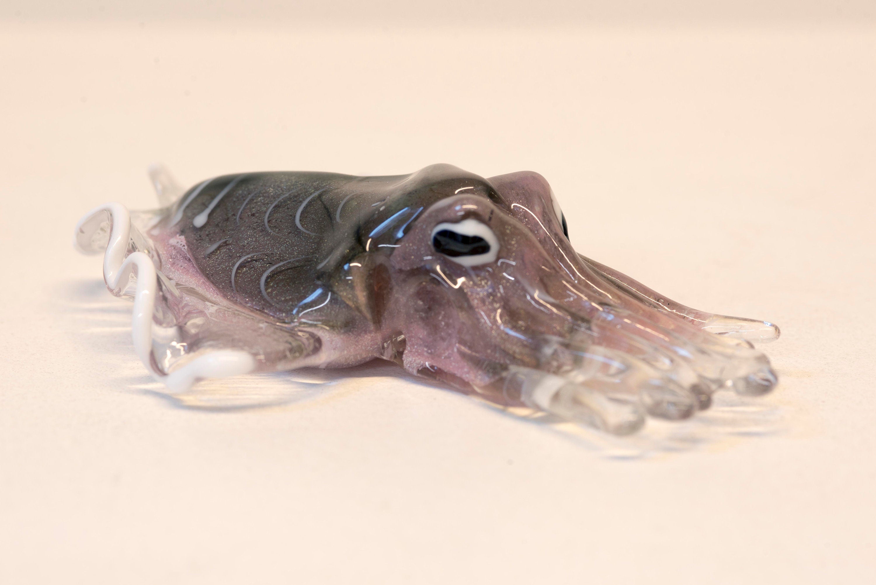 Sepia in Murano glass. Realistic realization in glass . Sculpture of the glass master.