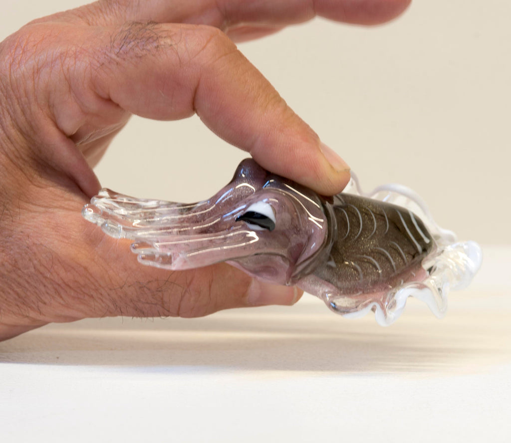 Seppia in vetro di Murano. Realizzazione realistica in vetro. Scultura del maestro vetraio.Phone essential to ship.