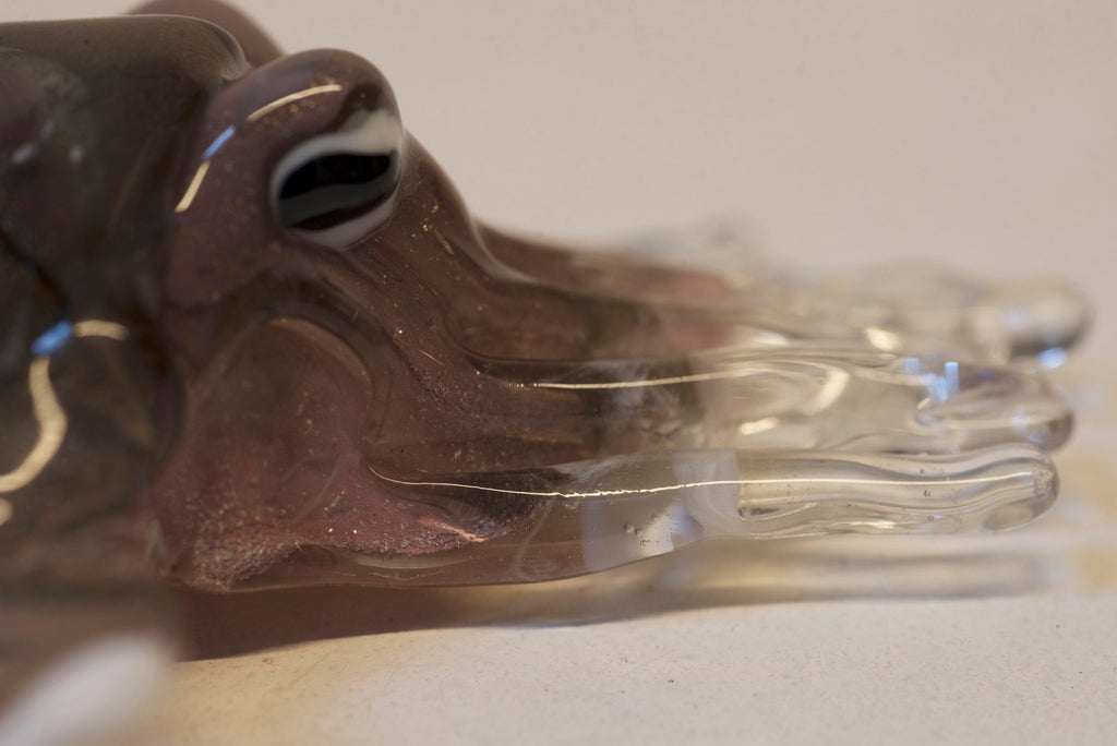 Seppia in vetro di Murano. Realizzazione realistica in vetro. Scultura del maestro vetraio.Phone essential to ship.