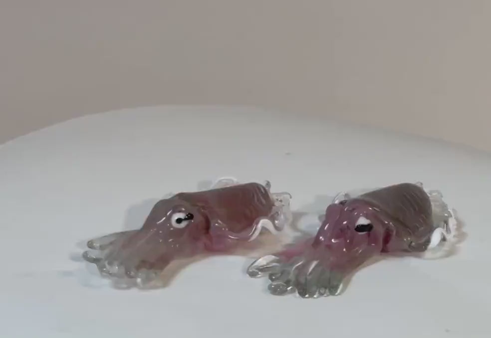 Seppia in vetro di Murano. Realizzazione realistica in vetro. Scultura del maestro vetraio.Phone essential to ship.