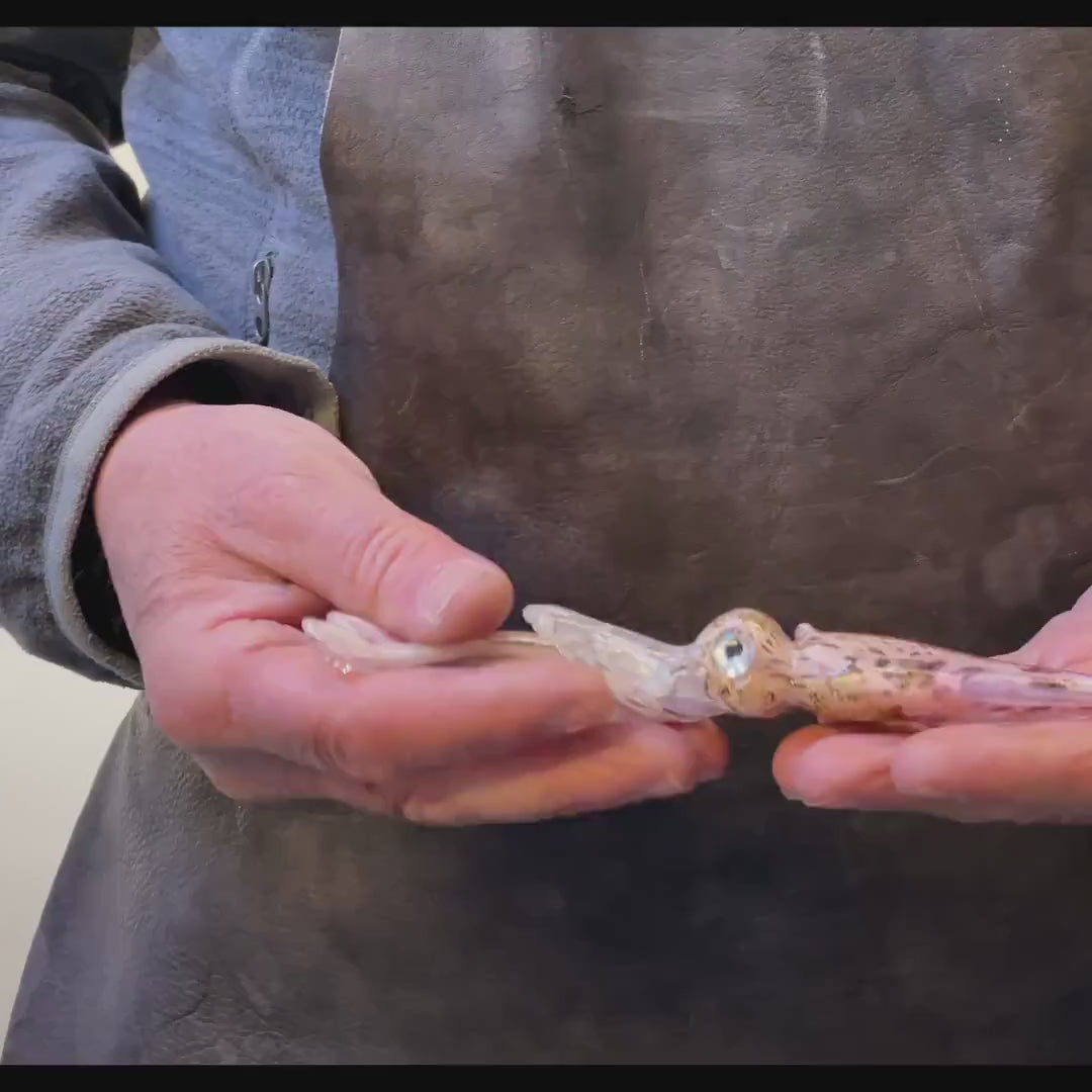 Squid in Murano glass. Realistic realization in glass .    Sculpture of the glass master.